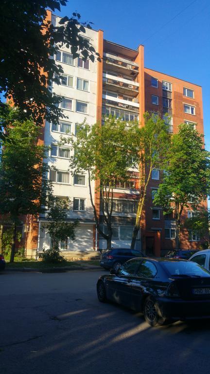 Gina'S Apartment Partizanu G 카우나스 외부 사진