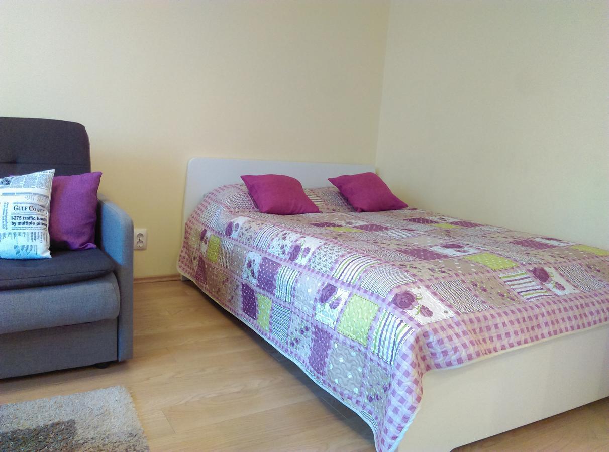 Gina'S Apartment Partizanu G 카우나스 외부 사진
